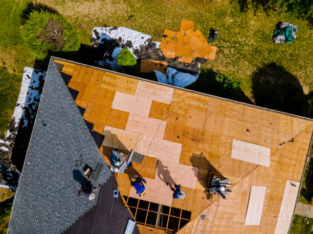 Best Storm Damage Roof Repair  in Bloomfield, IA